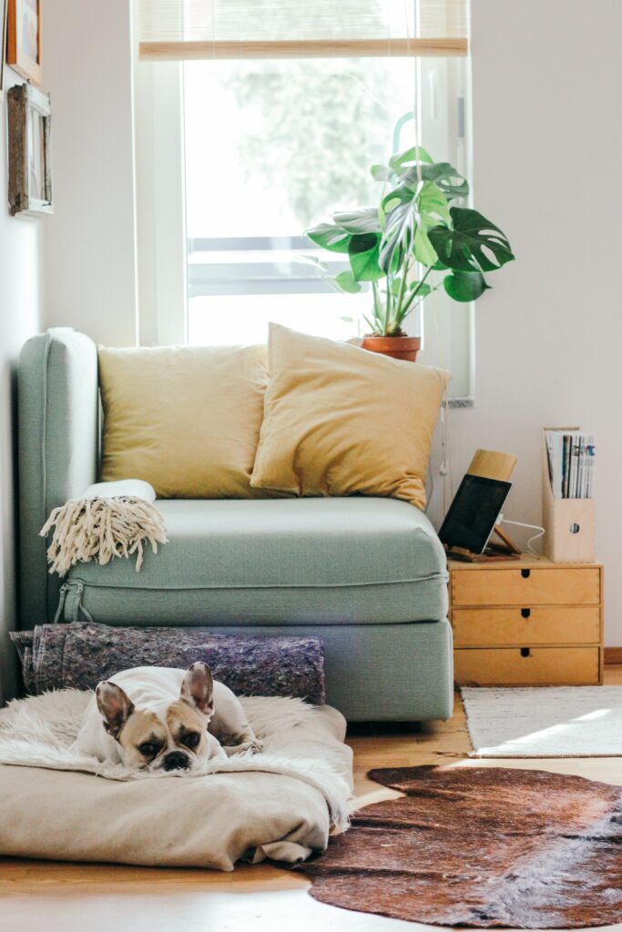Effortless Cleanup: A Look At Smart Dishwashers And Garbage Disposals. Effortless Cleanup: A Look At Smart Dishwashers And Garbage Disposals.