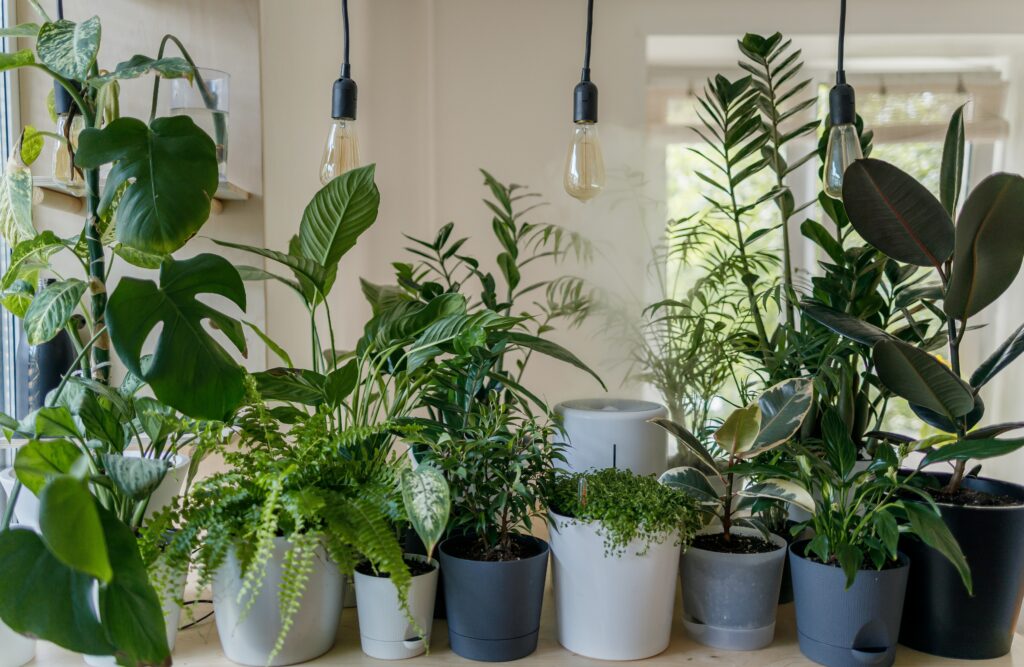 Indoor Gardening: Smart Systems For Growing Plants Indoors.