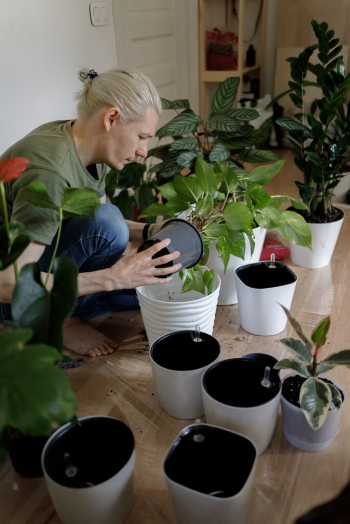 Indoor Gardening: Smart Systems For Growing Plants Indoors.
