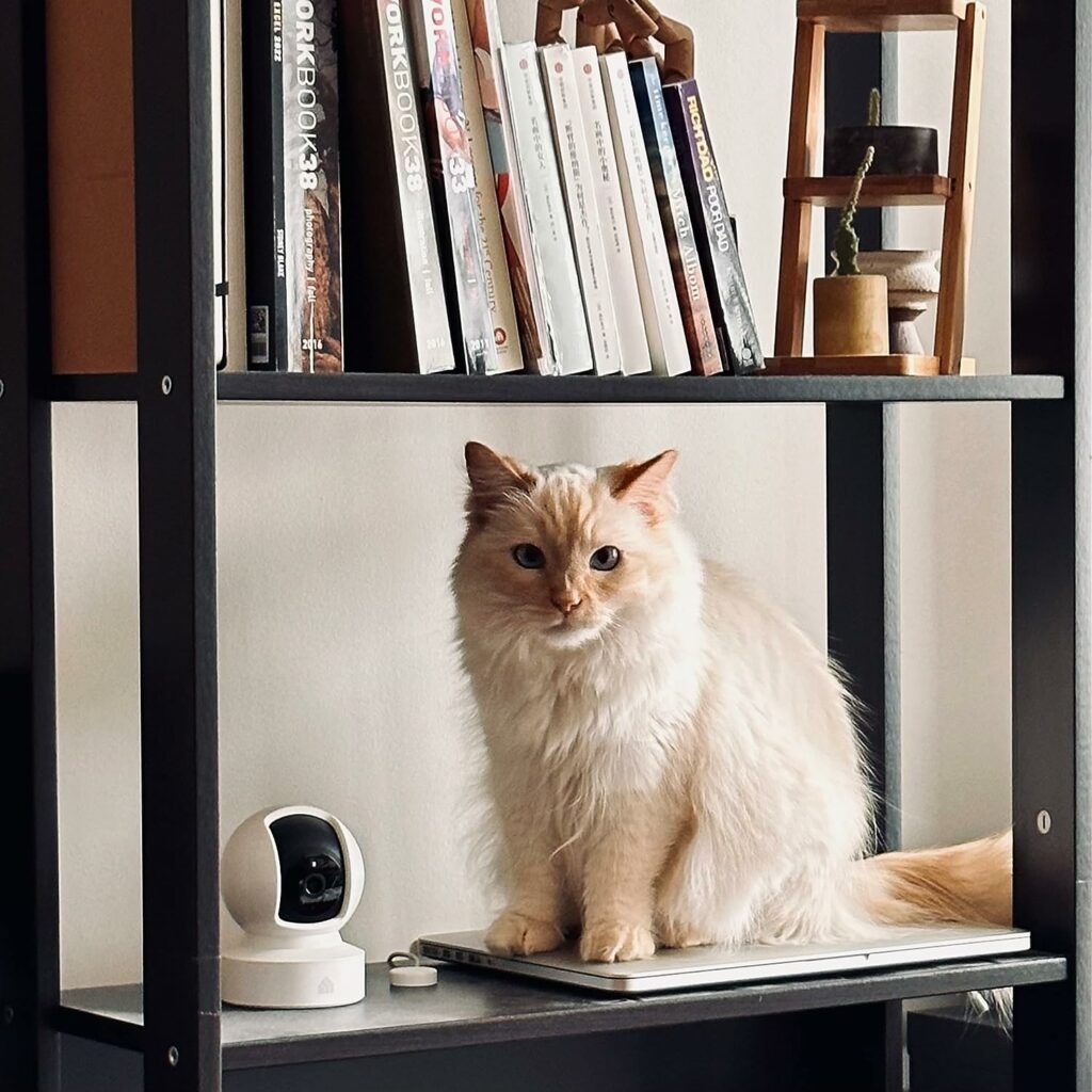 Kasa Indoor Pan/Tilt Smart Security Camera, 1080p HD Dog Camera 2.4GHz with Night Vision, Motion Detection for Baby and Pet Monitor, Cloud  SD Card Storage, Works with Alexa  Google Home (EC70) Kasa Indoor Pan/Tilt Smart Security Camera, 1080p HD Dog Camera 2.4GHz with Night Vision, Motion Detection for Baby and Pet Monitor, Cloud  SD Card Storage, Works with Alexa  Google Home (EC70)